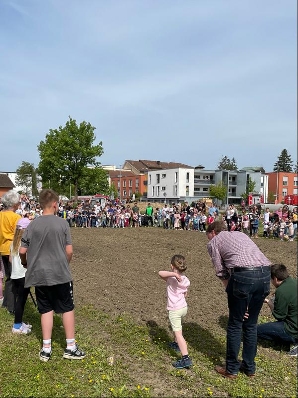 Krautländer erblühen Krautländer erblühen